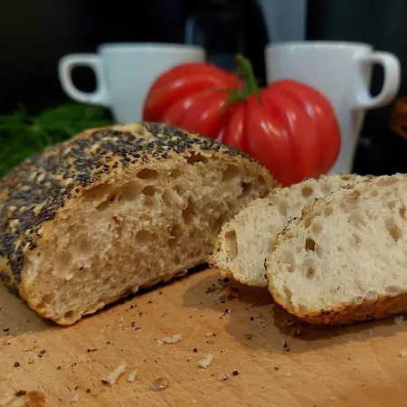 Wiejski- Spokoj W Centrum Miasta, Z Parkingiem, 400m Do Pkp I Bus Apartment