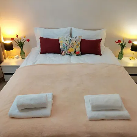 Wiejski- Spokoj W Centrum Miasta, Z Parkingiem, 400m Do Pkp I Bus Bílsko-Bělá